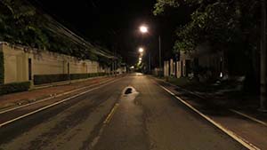 NbNĊg
